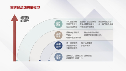 品牌诊断咨询