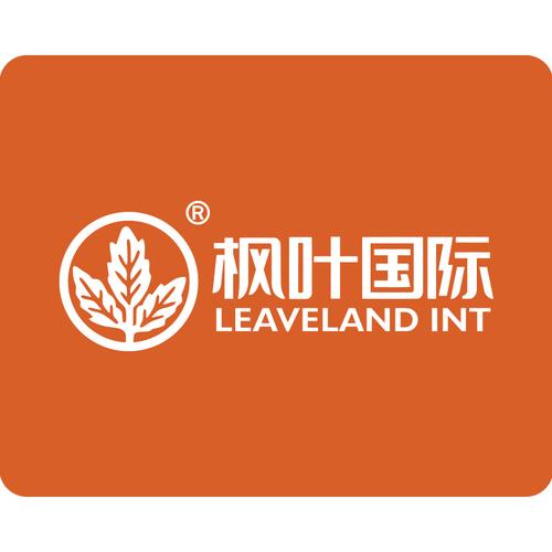 品牌管理 国际商业公司驱动时尚休闲品牌成功的核心引擎